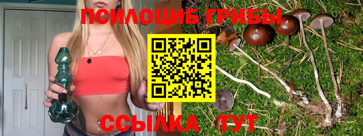 Псилоцибиновые грибы прущие грибы Дубна